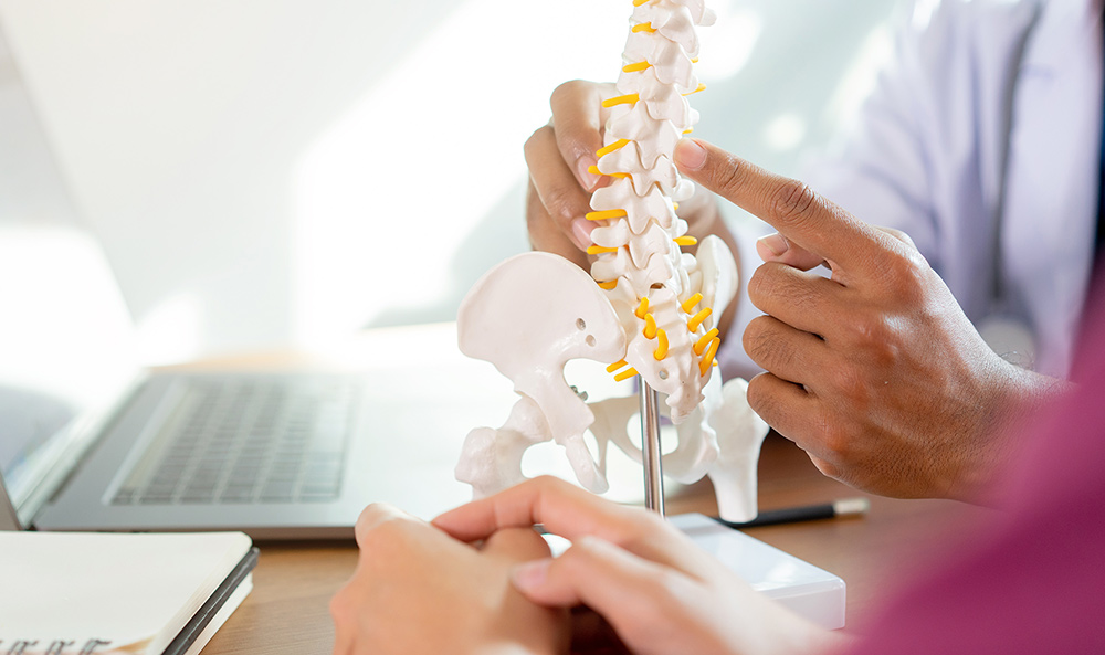 what does a chiropractor do?